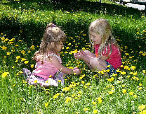 9d-Andrea and Olivia making a bouquet